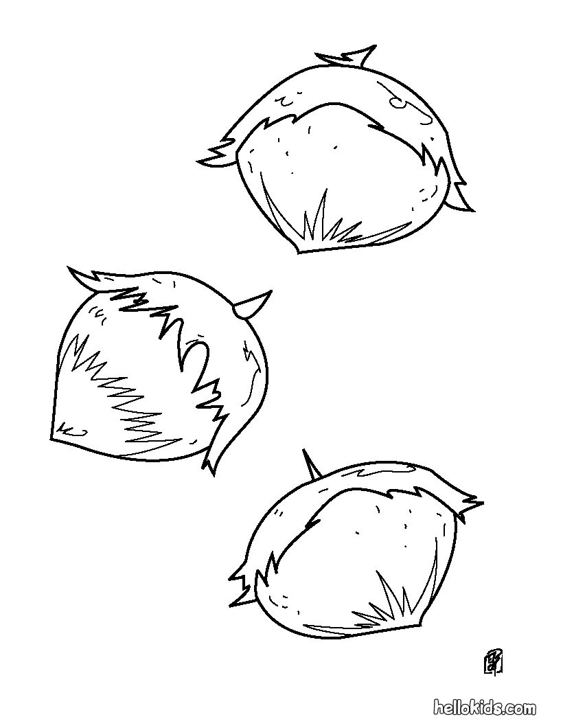 صفحات تلوين فواكه صفحة تلوين بندق